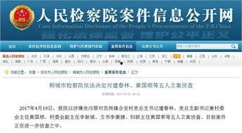 桐城网红爆料案件最新情况,案情反转,疑点重重揭晓 第3张 桐城网红爆料案件最新情况,案情反转,疑点重重揭晓 第3张